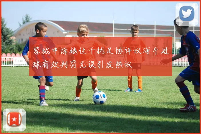 蓉城申诉越位干扰足协评议海牛进球有效判罚无误引发热议