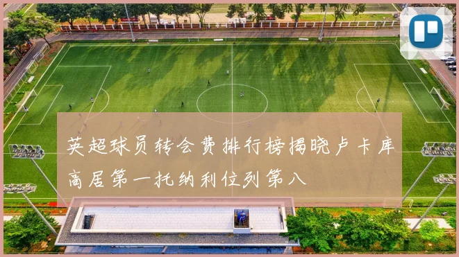 英超球员转会费排行榜揭晓卢卡库高居第一托纳利位列第八