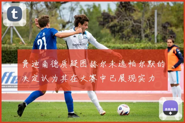 费迪南德质疑图赫尔未选帕尔默的决定认为其在大赛中已展现实力